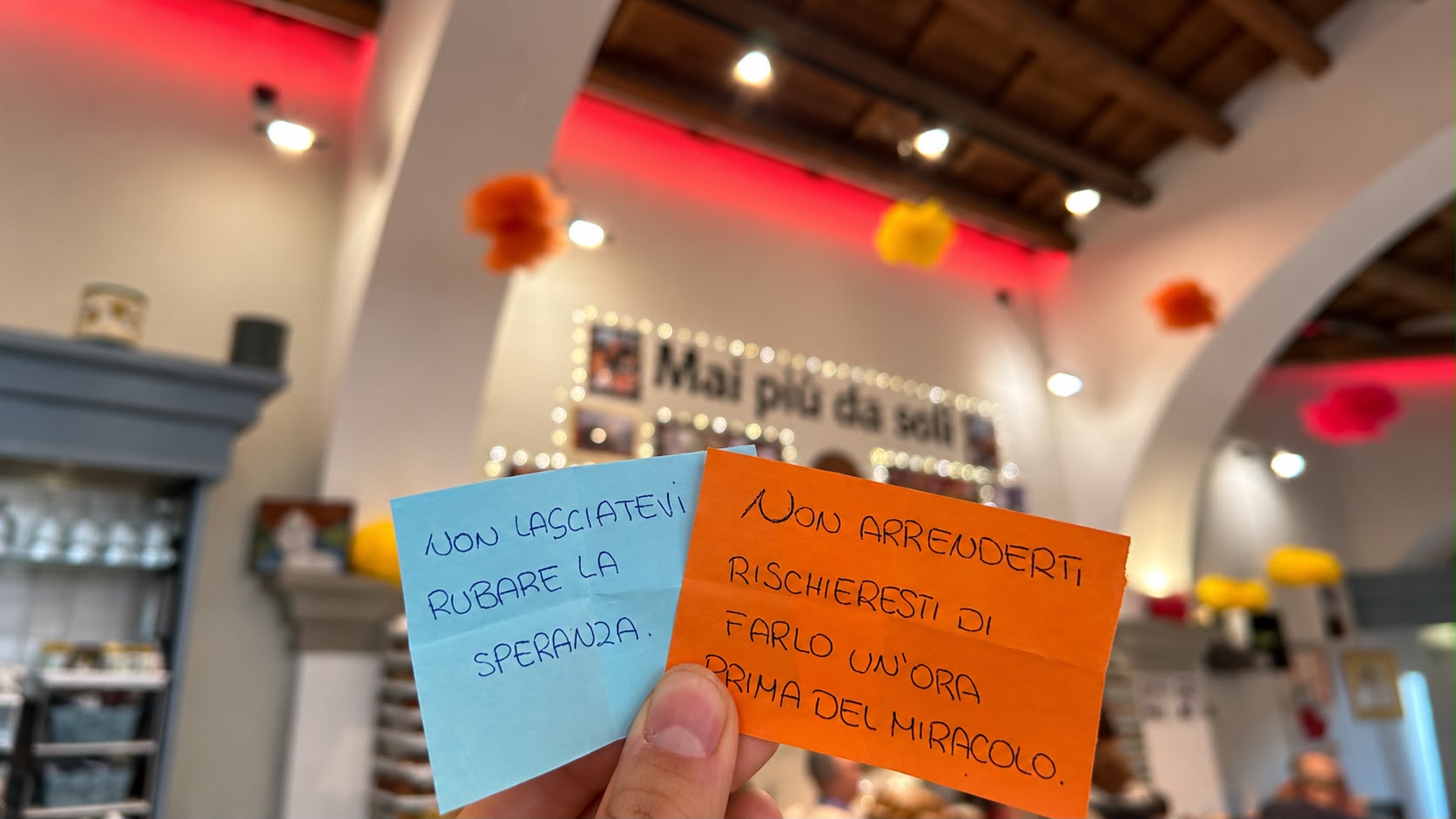 Le frasi di Elisa – da un bigliettino alla Biblioteca del Senato